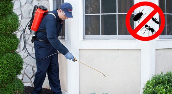 Ağrı Bit İlaçlama böcek ilaçlama ve haşere kontrolü — ilaclama-tr.com